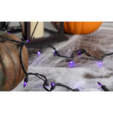 Celebrations Purple 100 ct LED String Lights