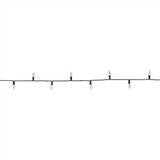 Celebrations Platinum LED C6 Multicolored/Warm White 50 ct String w/ Powerbank Christmas Lights