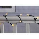 Celebrations Platinum LED C6 Multicolored/Warm White 50 ct String w/ Powerbank Christmas Lights