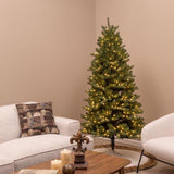 Holiday Bright Lights 6 ft. Full LED 450 ct Virginia Color Changing Christmas Tree