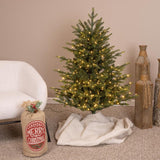 Holiday Bright Lights 4 ft. Full LED 350 ct Emerald Pine Sparkle Christmas Tree