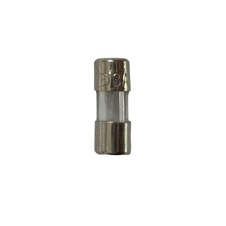 Celebrations LED Clear 6 ct Replacement 3Amp Fuse, Pack of 25