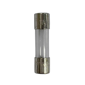 Celebrations Clear 2 ct Replacement 5Amp Fuse, Pack of 25