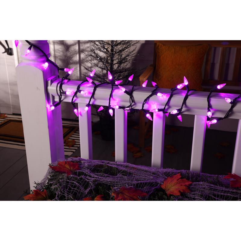 Celebrations Halloween Purple 100 ct LED Anti Flicker String Lights