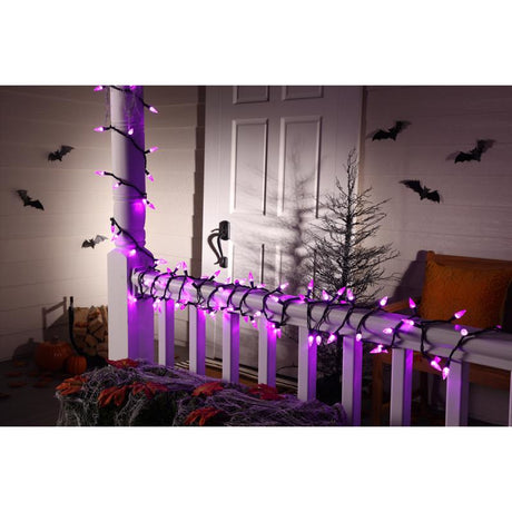 Celebrations Halloween Purple 100 ct LED Anti Flicker String Lights