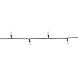 Celebrations Platinum LED C6 Warm White 50 ct String Christmas Lights