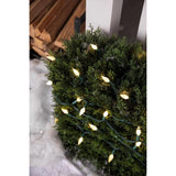 Celebrations Platinum LED C6 Warm White 50 ct String Christmas Lights
