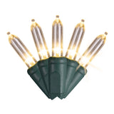 Celebrations Platinum LED T5 Warm White 50 ct String Christmas Lights