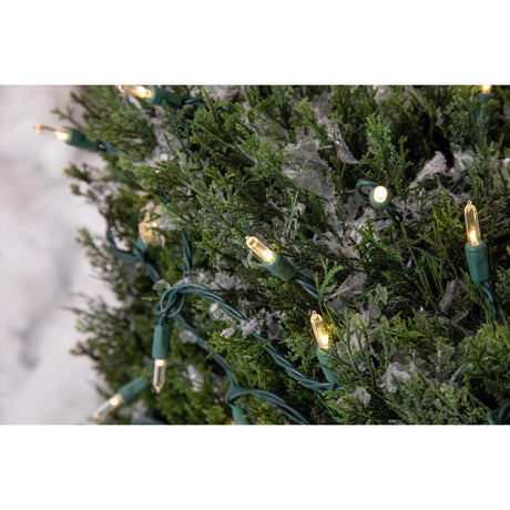 Celebrations Platinum LED T5 Warm White 50 ct String Christmas Lights