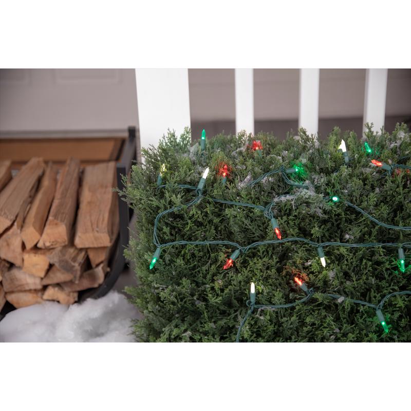 Celebrations Platinum LED T5 Red/Green/Pure White 50 ct String Christmas Lights