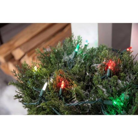 Celebrations Platinum LED T5 Red/Green/Pure White 50 ct String Christmas Lights