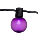 Celebrations Purple 25 ct LED Smooth Frosted Halloween Lights