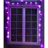Celebrations Purple 25 ct LED Smooth Frosted Halloween Lights