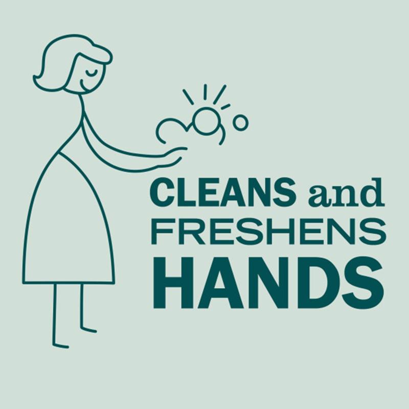 Mrs. Meyer's Clean Day Birchwood Scent Liquid Hand Soap 33 oz, Pack of 6