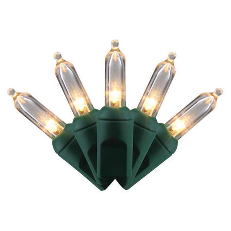 Celebrations LED T5 Warm White 50 ct String Christmas Lights, Pack of 12