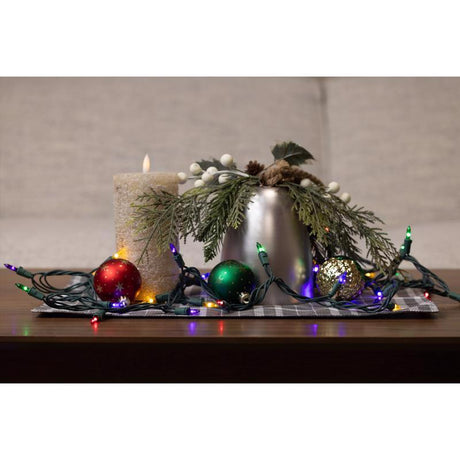 Celebrations LED T5 Multicolored 50 ct String Christmas Lights, Pack of 12