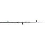 Celebrations LED Grand Mini Warm White 50 ct String Christmas Lights 25 ft.