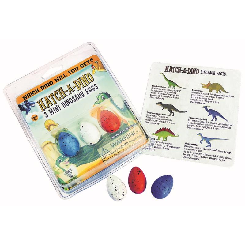 Zorbitz Mini Dinosaur Eggs Toy Multicolored 3 pc, Pack of 18