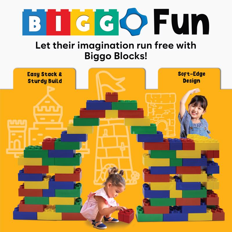 Biggo Learner Set Jumbo Building Blocks Assorted 50 pc