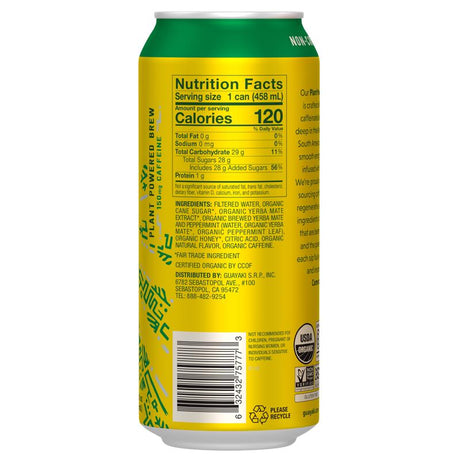 Yerba Madre Beverage 15.5 fl. oz. 1 pk, Pack of 12