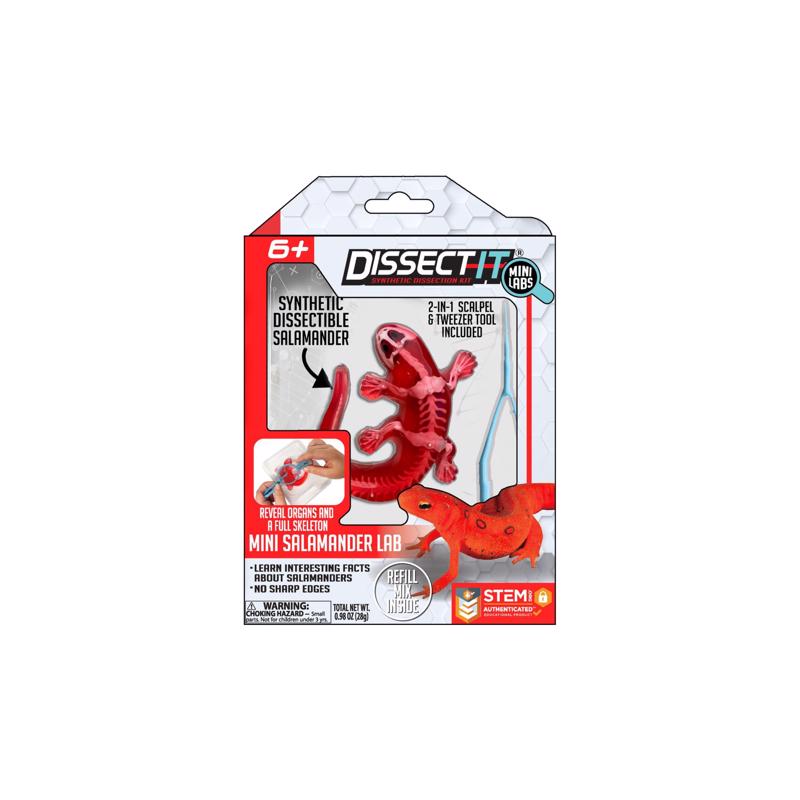 Crazart Frog, Salamander, Piranha, and Bat Dissect It Mini Lab, Pack of 12