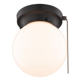 Boston Harbor OG24006 Ceiling Light, 1-Lamp, CFL, Incandescent, LED Lamp, Matte Black Fixture