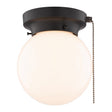 Boston Harbor OG24006 Ceiling Light, 1-Lamp, CFL, Incandescent, LED Lamp, Matte Black Fixture