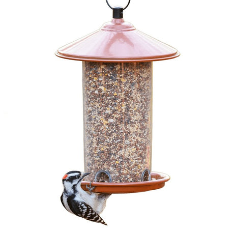 Approved Vendor (GLOBAL HARVEST FOODS) 10179 Sunflower Seed Wild Bird Food, 40 lb, Blended, Bag