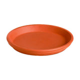 Deroma 1 in. H X 7.5 in. D Clay Traditional Plant Saucer Terracotta, Pack of 16