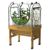 VegTrug Classic SGKIT1236 Greenhouse Frame and Multi-Cover Set, Steel Frame/Polyethylene Cover, Clear