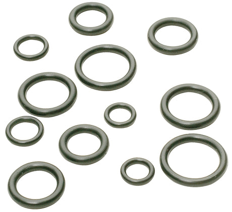 Plumb Pak PP810-1 O-ring Assortment