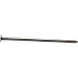 ProFIT 0053188 Common Nail, 12D, 3-1/4 in L, Brite, Flat Head, Round, Smooth Shank, 1 lb