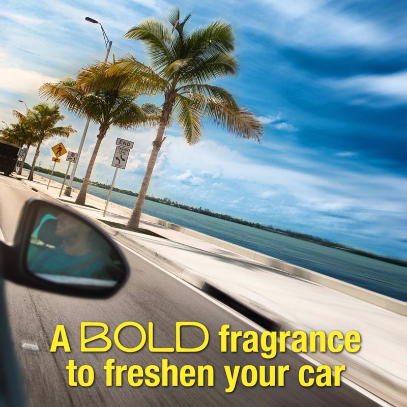 California Scents Fruity Scent Car Air Freshener 1.4 oz Solid, Pack of 12