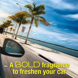 California Scents Fruity Scent Car Air Freshener 1.4 oz Solid, Pack of 12