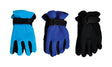 Diamond Visions Assorted Fleece Polar Assorted Gloves, Pack of 36