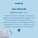 Method Sea Mineral Scent Antibacterial Gel Hand Wash 12 oz, Pack of 6