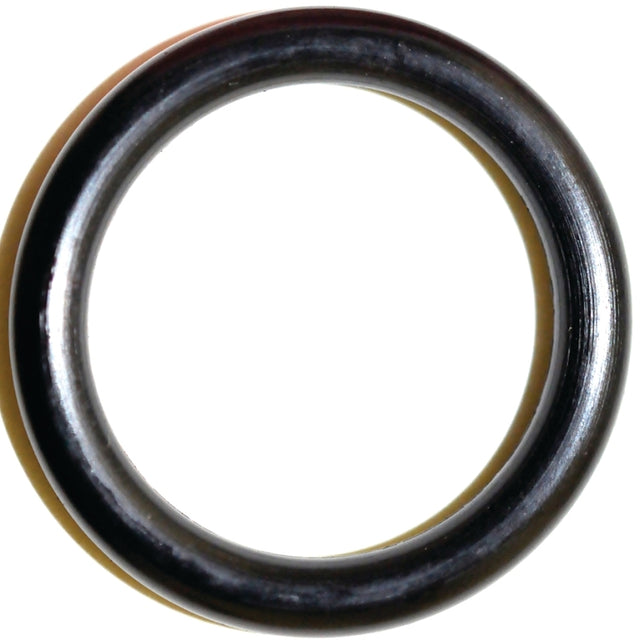 Danco 35729B Faucet O-ring, #12, 5/8 in ID x 13/16 in OD Dia, 3/32 in Thick, Buna-N, Pack of 5