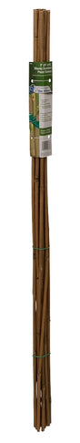 Gardener's Blue Ribbon BB3 Plant Stake, 3 ft L, 6 to 8 mm Dia, Bamboo, Natural