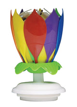 Just For Laughs Incredible Candle Celebration Birthday Candle Plastic 1 pk, Pack of 20