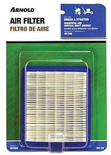 Arnold BAF-119 Replacement Air Filter, Paper