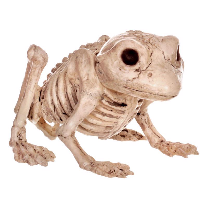Seasons 6 in. Mini Animal Skeletons Halloween Decor, Pack of 12