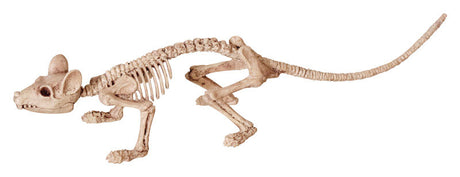 Seasons 6 in. Skeleton Asst Halloween Decor, Pack of 12