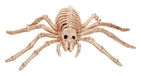 Seasons 6 in. Skeleton Asst Halloween Decor, Pack of 12