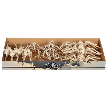 Seasons 6 in. Skeleton Asst Halloween Decor, Pack of 12
