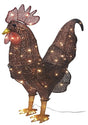 Santas Forest 62636 LED Rooster, 13 in W, Mesh Fabric/Metal Frame, Red, Mini Bulb