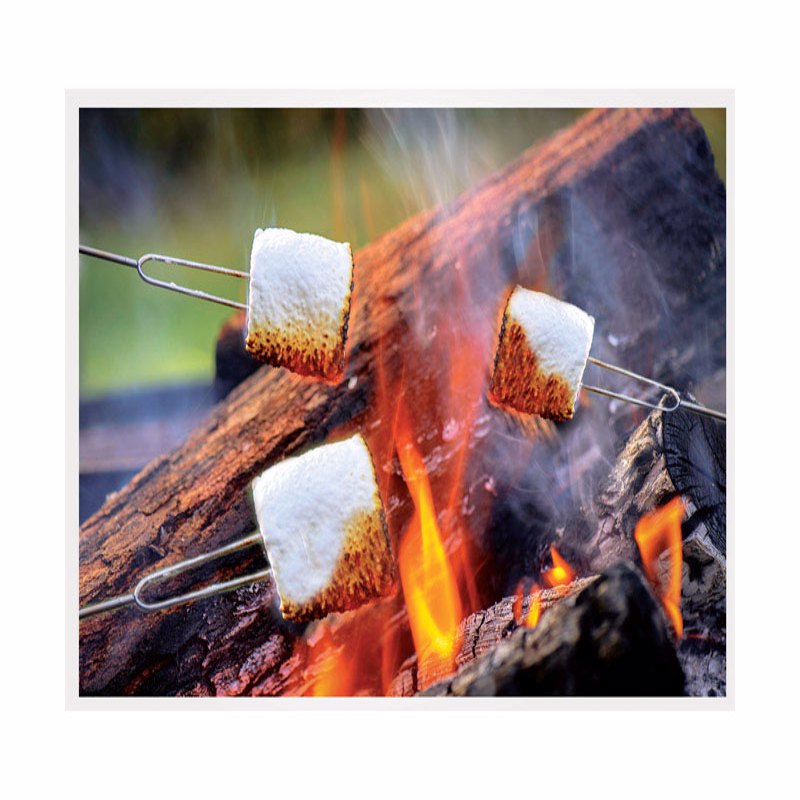 Blazing LEDz Open Flame Roasting Extendable Marshmallow Fork Plastic/Stainless Steel 3 pk, Pack of 24