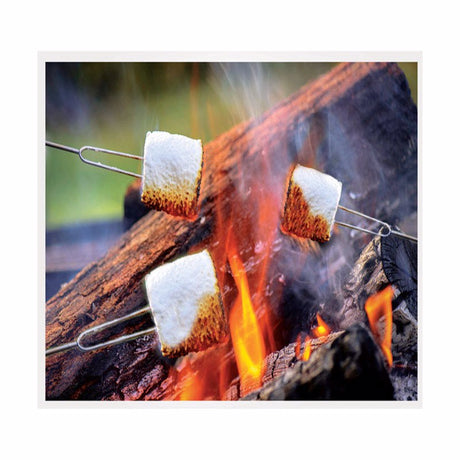 Blazing LEDz Open Flame Roasting Extendable Marshmallow Fork Plastic/Stainless Steel 3 pk, Pack of 24