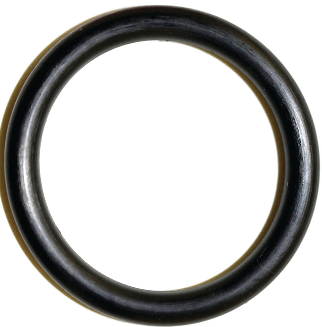 Danco 35736B Faucet O-ring, #19, 1 in ID x 1-1/4 in OD Dia, 1/8 in Thick, Rubber, For: Groen, Speakman, Zurn Faucets, Pack of 5