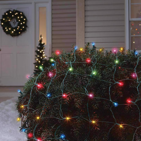 Celebrations Red Incandescent Mini Multicolored 150 ct Net Christmas Lights 6 ft.