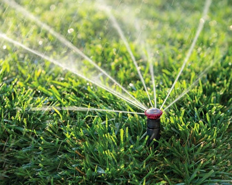 Rain Bird 24RNVAPRO Spray Head Nozzle, 1/2 in Connection, Female, 17 to 24 ft, 15 to 20 deg Nozzle Trajectory, Plastic